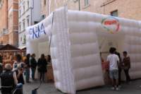 img_7549_small.jpg