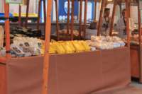 img_7556_small.jpg