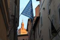 img_7580_small.jpg